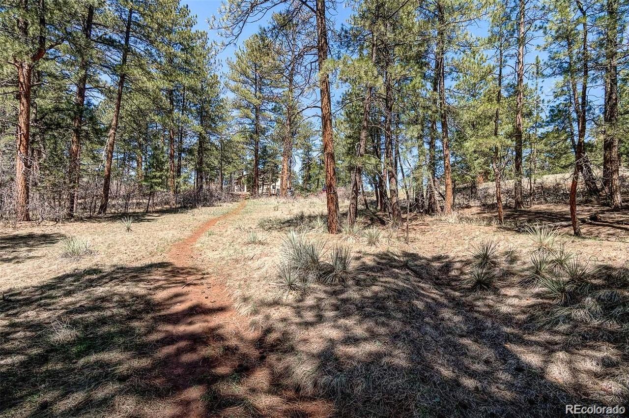 8173 Bannock Drive Larkspur CO 80118