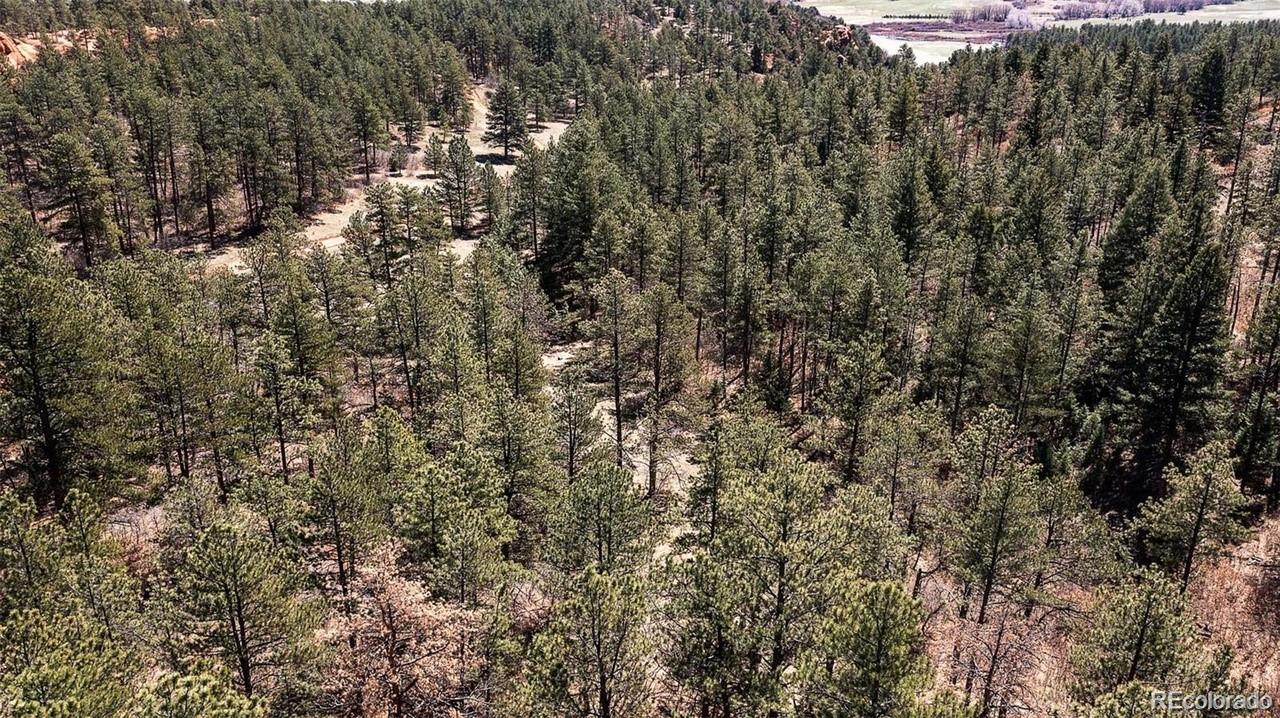 8173 Bannock Drive Larkspur CO 80118