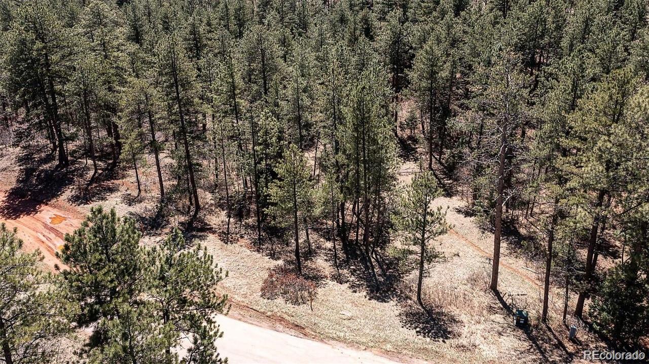 8173 Bannock Drive Larkspur CO 80118
