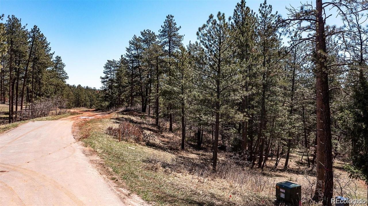 8173 Bannock Drive Larkspur CO 80118
