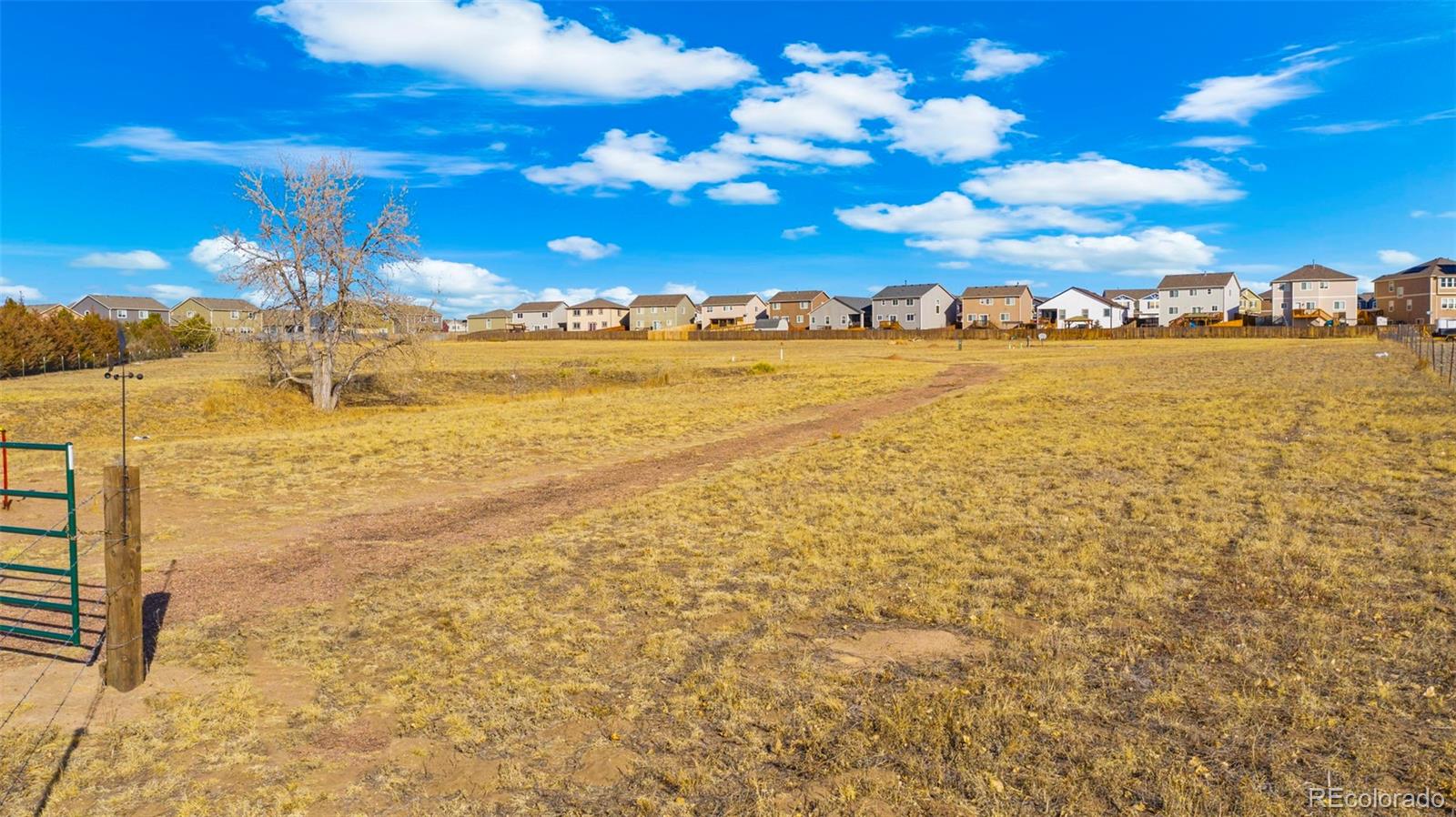 11430 Owl Place Peyton CO 80831