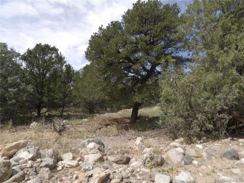 2842 N Carefree Way Crestone CO 81131