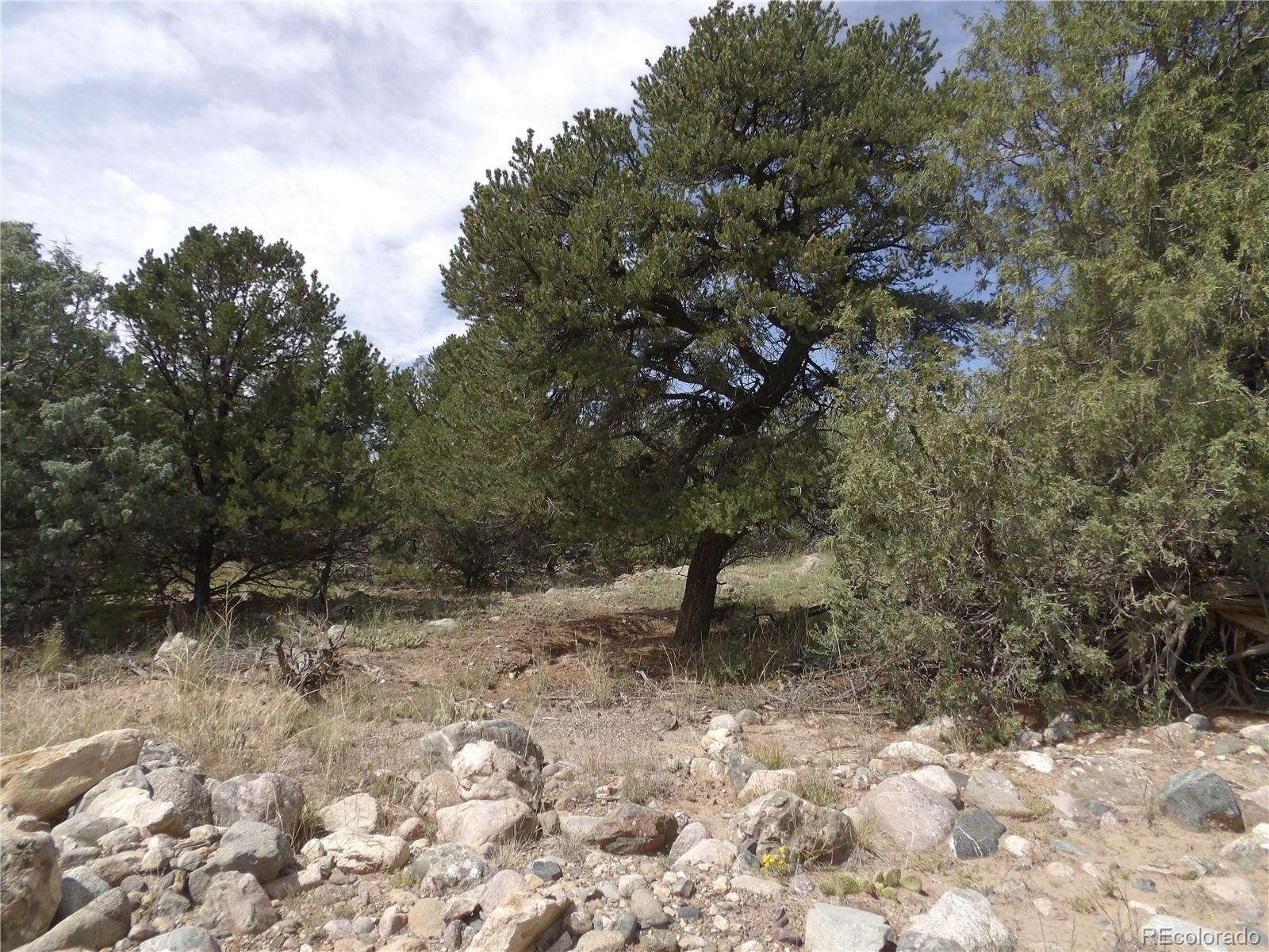 2842 N Carefree Way Crestone CO 81131