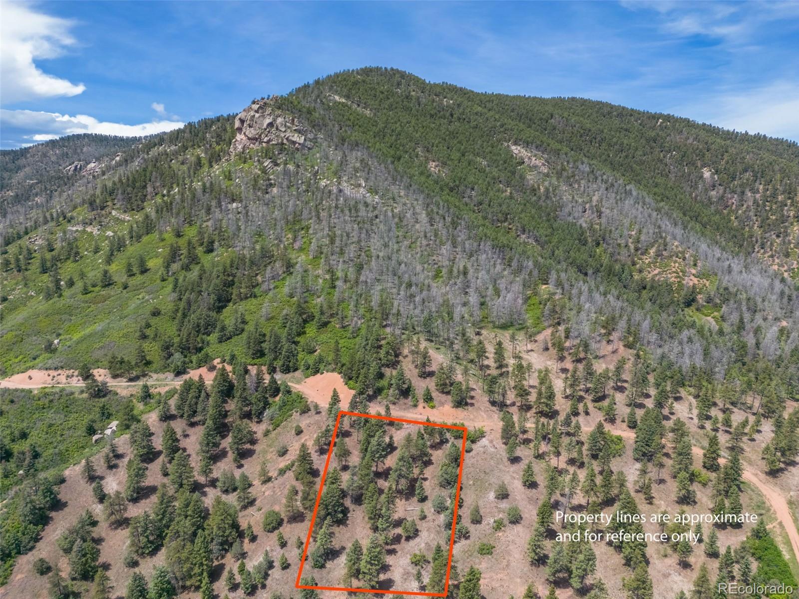 5881 Pawnee Road Larkspur CO 80118