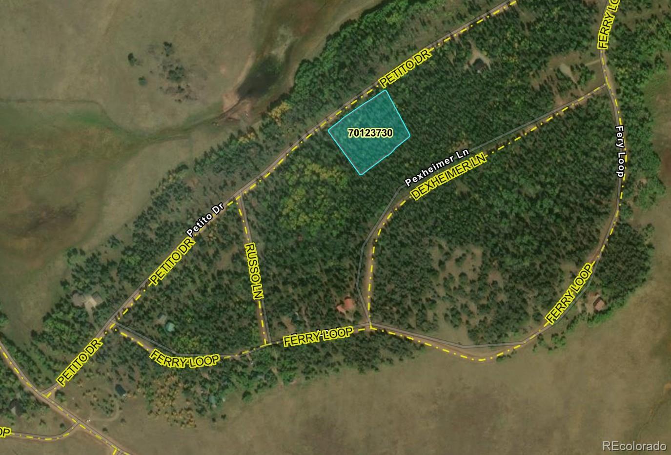2452 Petito Drive Fort Garland CO 81133