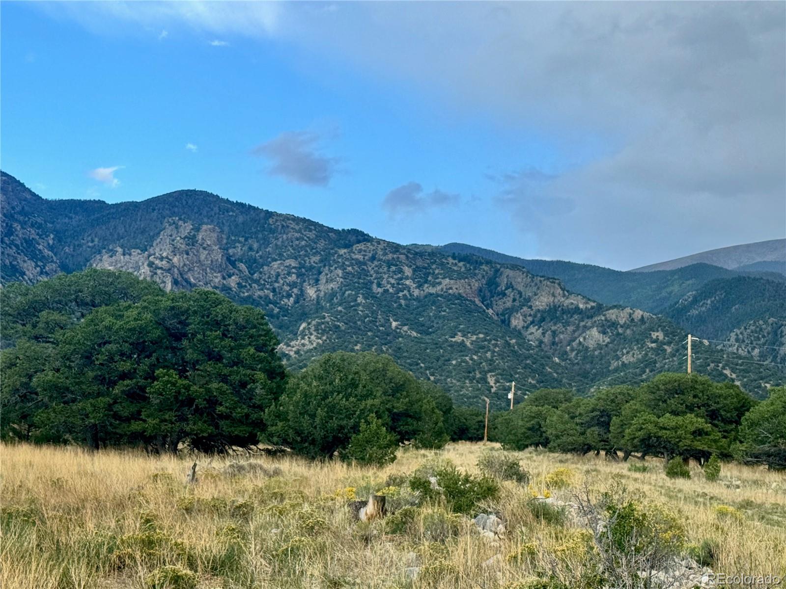 00015 Clear Brook Place Mosca CO 81146