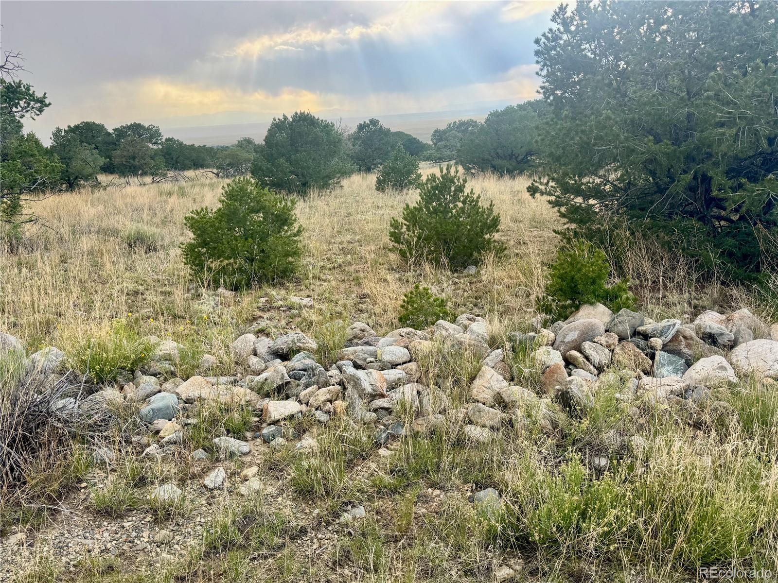 00015 Clear Brook Place Mosca CO 81146