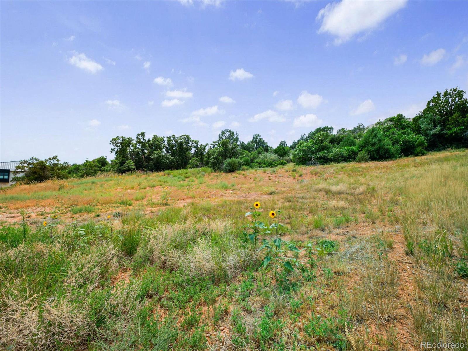 7983 Raphael Lane Littleton CO 80125