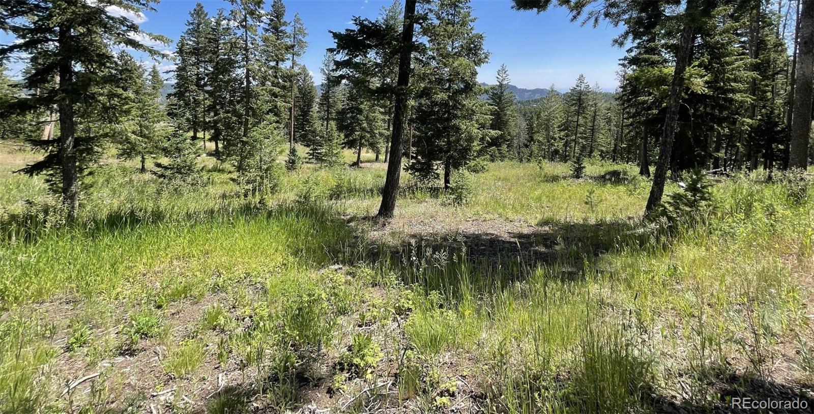 93 Gross Dam Road Golden CO 80403