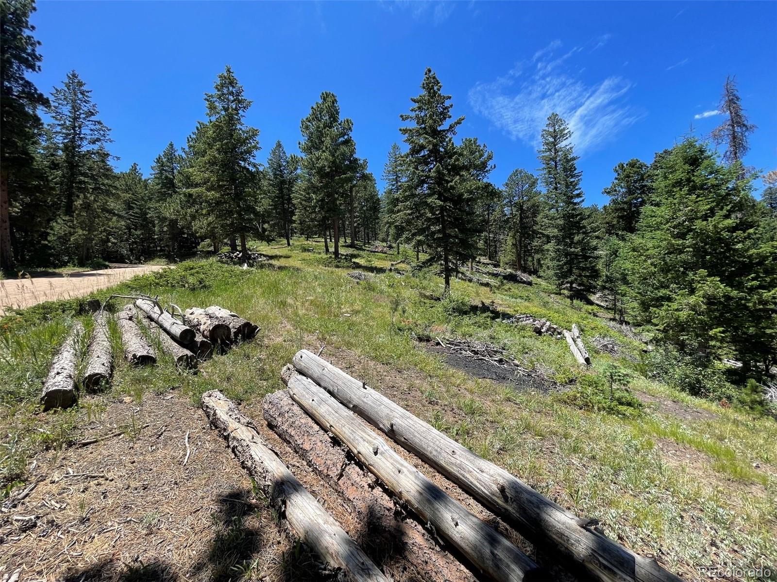 93 Gross Dam Road Golden CO 80403