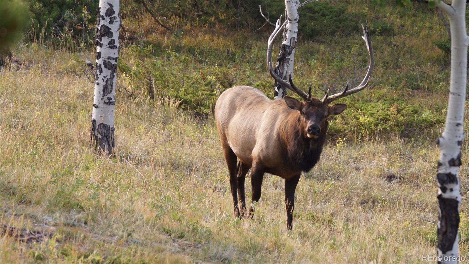93 Gross Dam Road Golden CO 80403