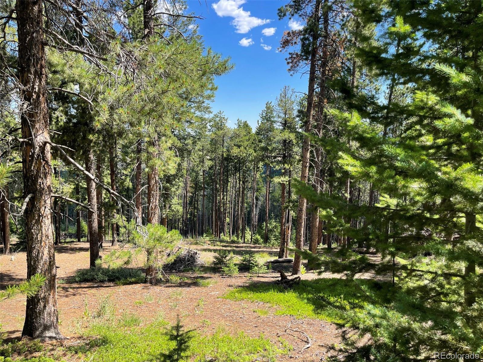 93 Gross Dam Road Golden CO 80403