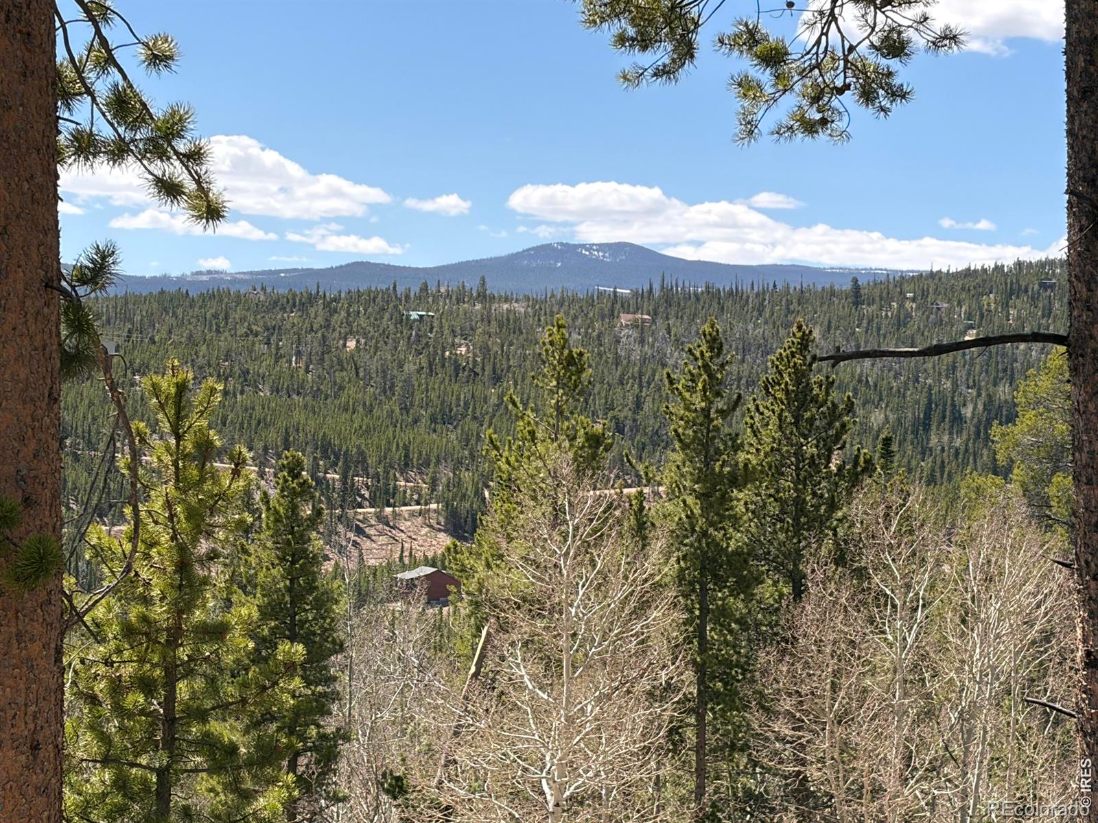 726 Micmac Drive Red Feather Lakes CO 80545