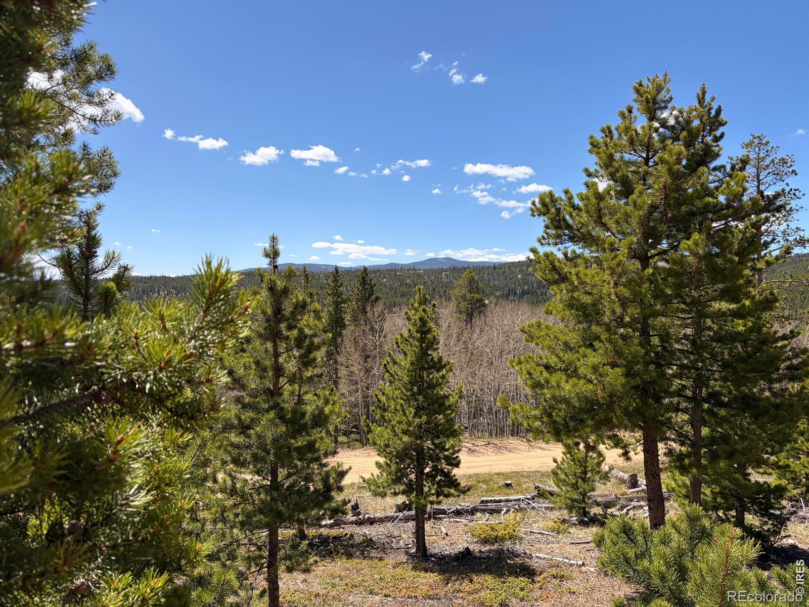 726 Micmac Drive Red Feather Lakes CO 80545