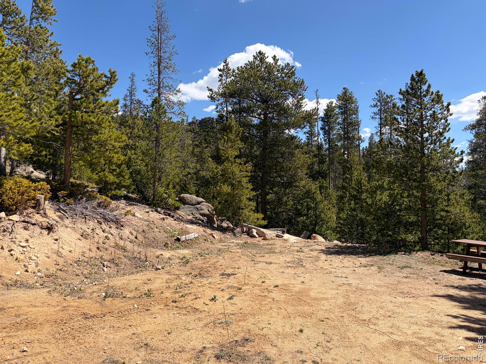 726 Micmac Drive Red Feather Lakes CO 80545