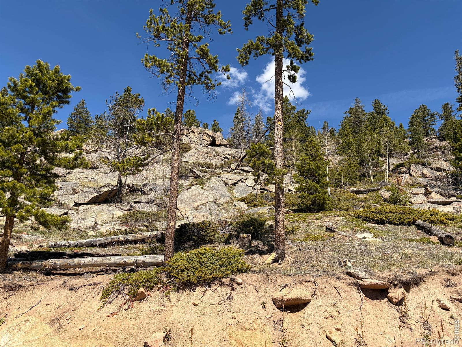 726 Micmac Drive Red Feather Lakes CO 80545