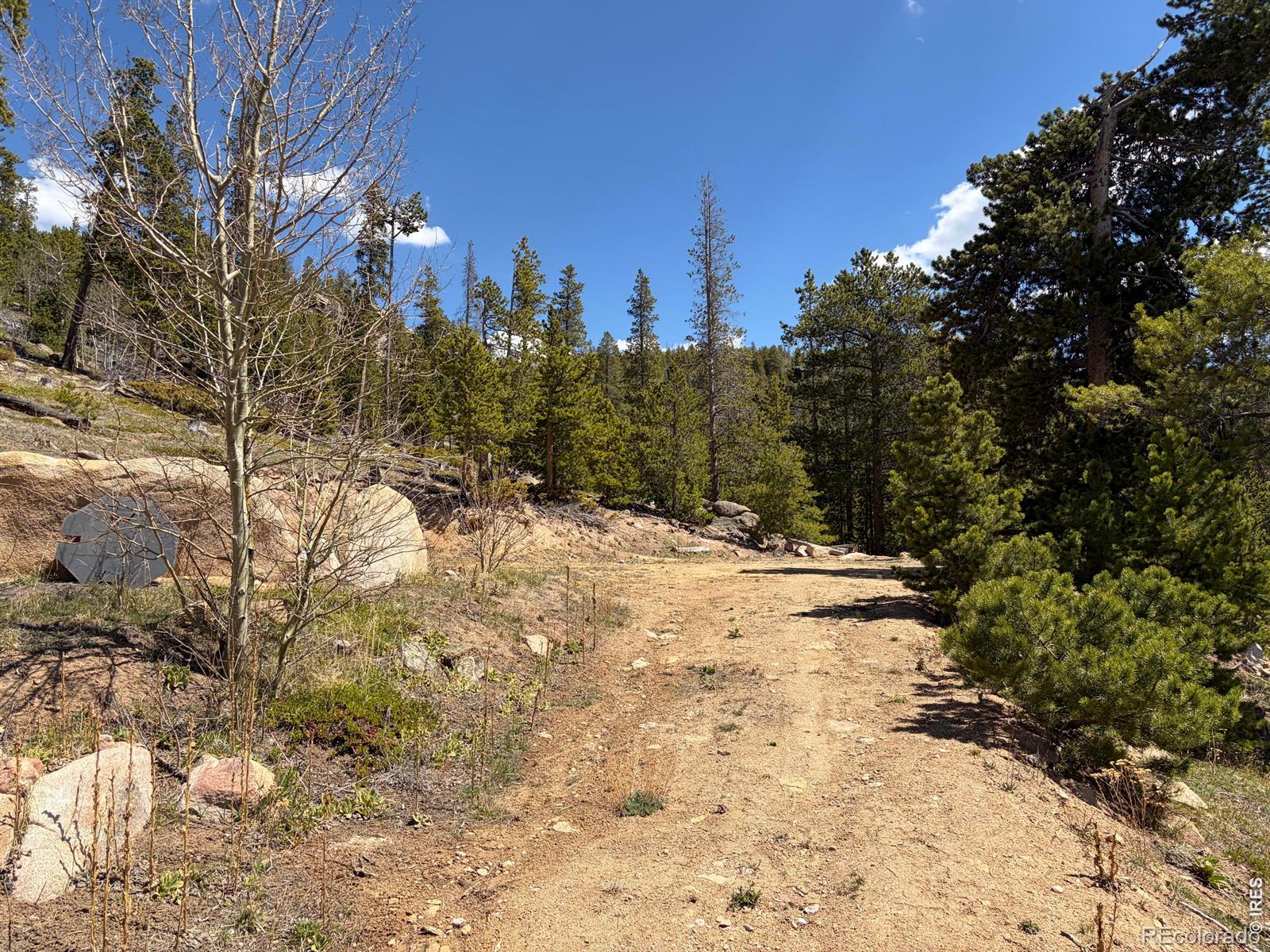 726 Micmac Drive Red Feather Lakes CO 80545