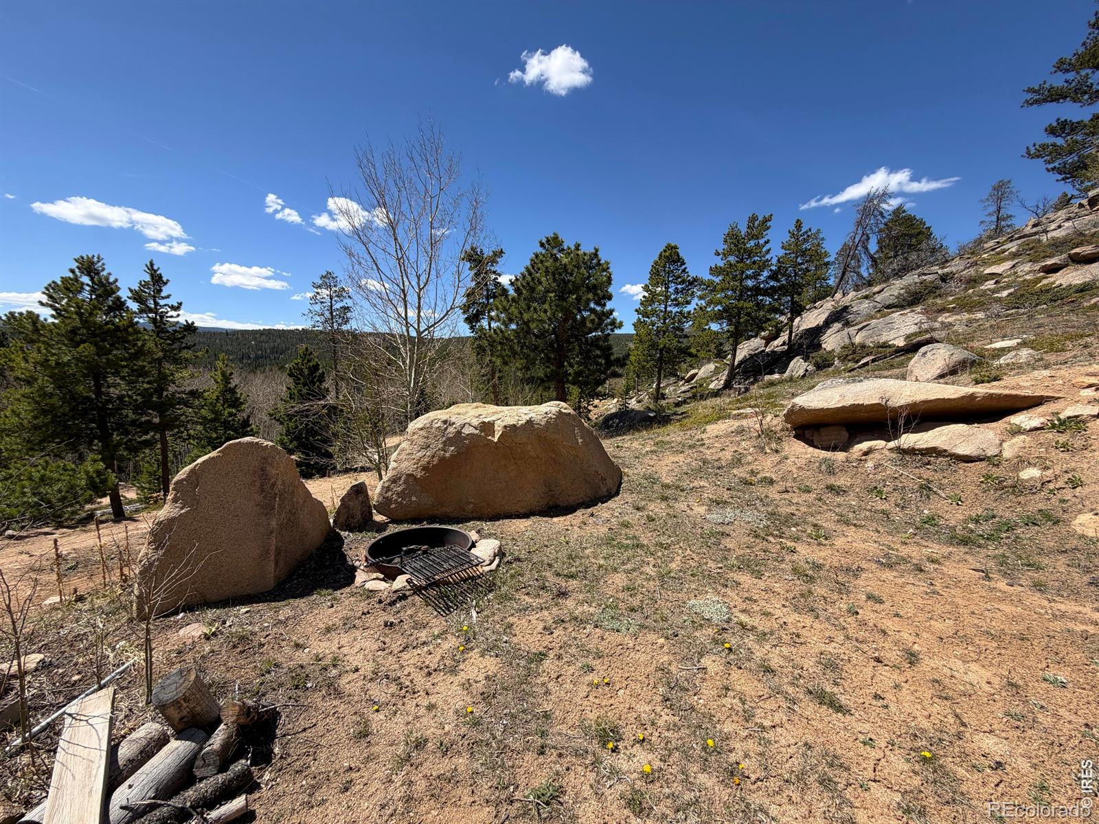 726 Micmac Drive Red Feather Lakes CO 80545