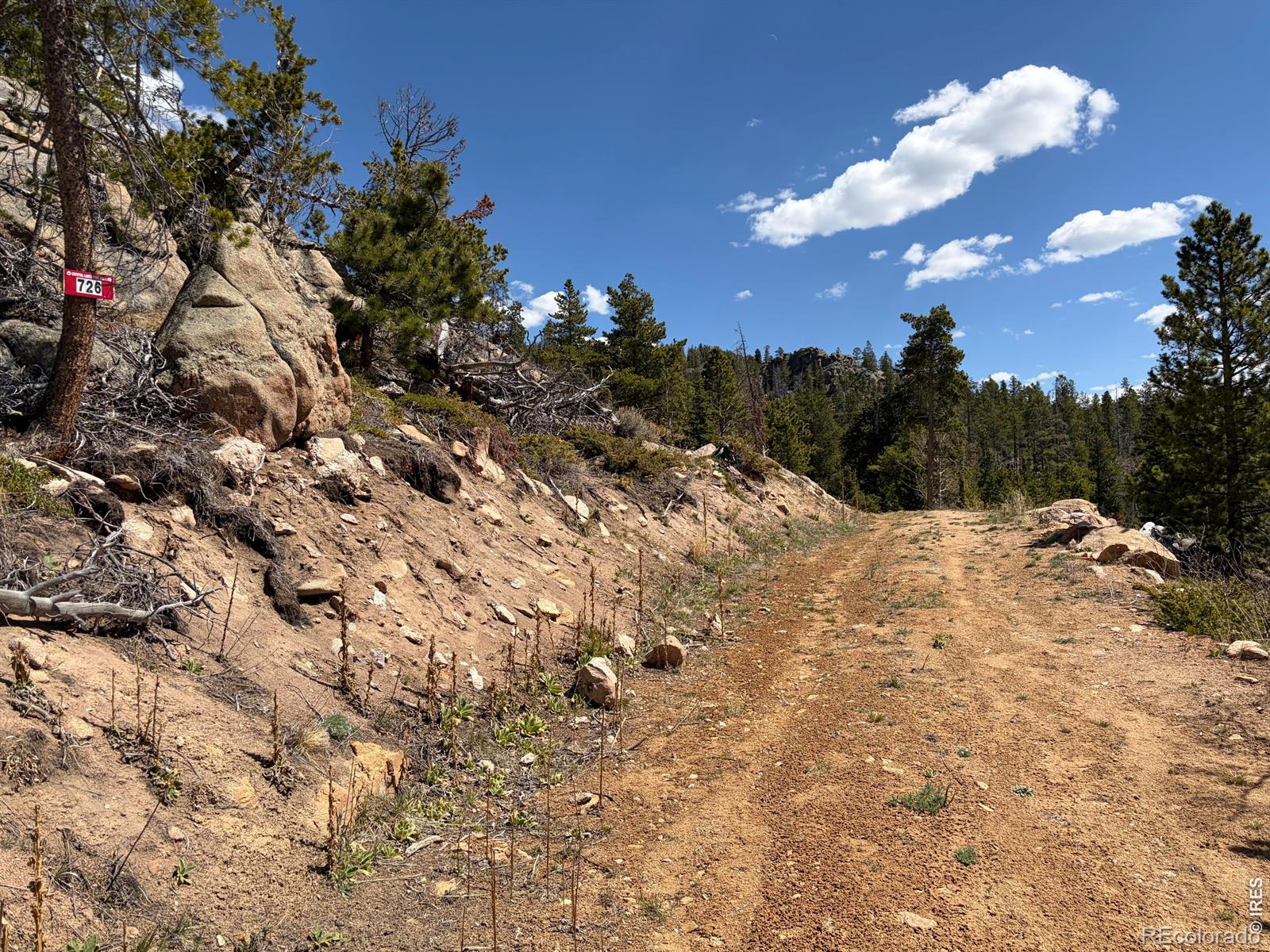 726 Micmac Drive Red Feather Lakes CO 80545