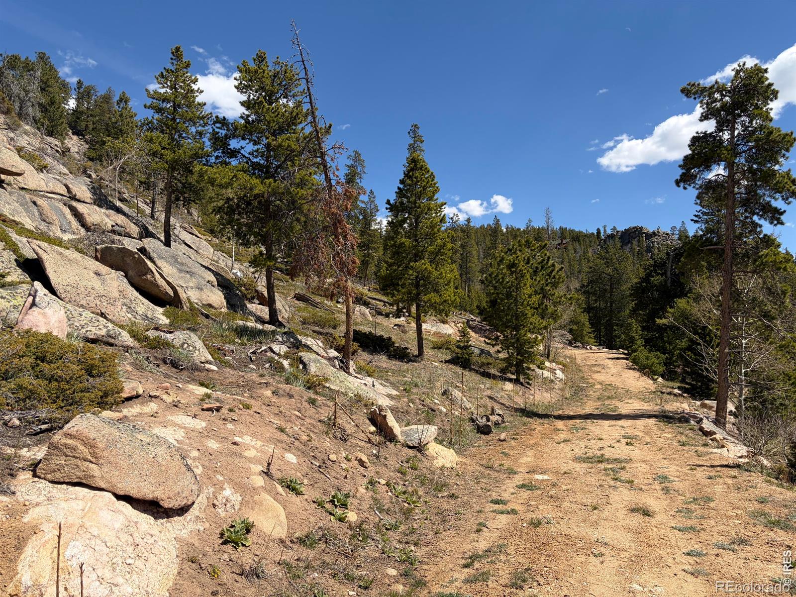 726 Micmac Drive Red Feather Lakes CO 80545