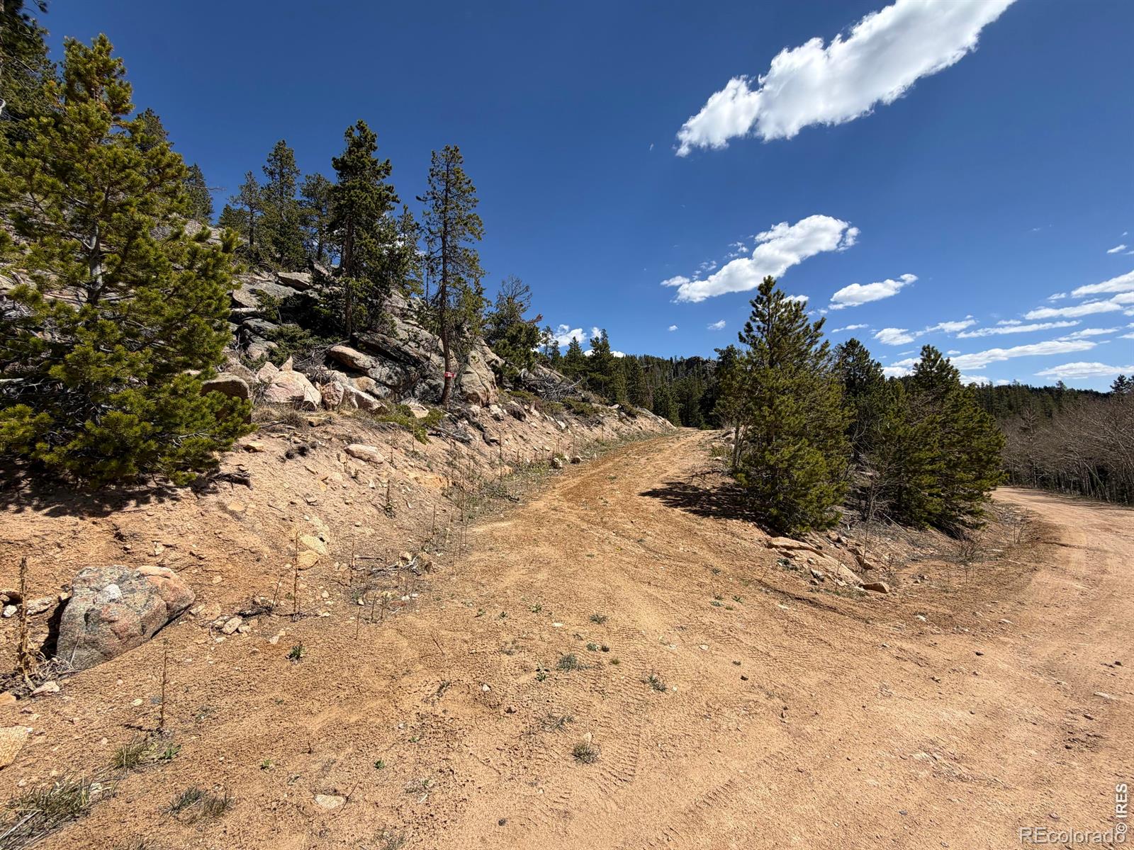 726 Micmac Drive Red Feather Lakes CO 80545