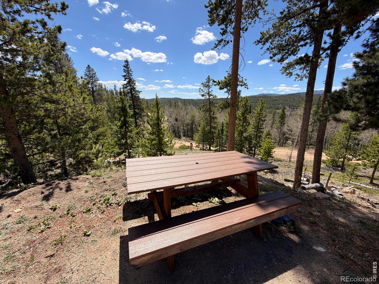 726 Micmac Drive Red Feather Lakes CO 80545