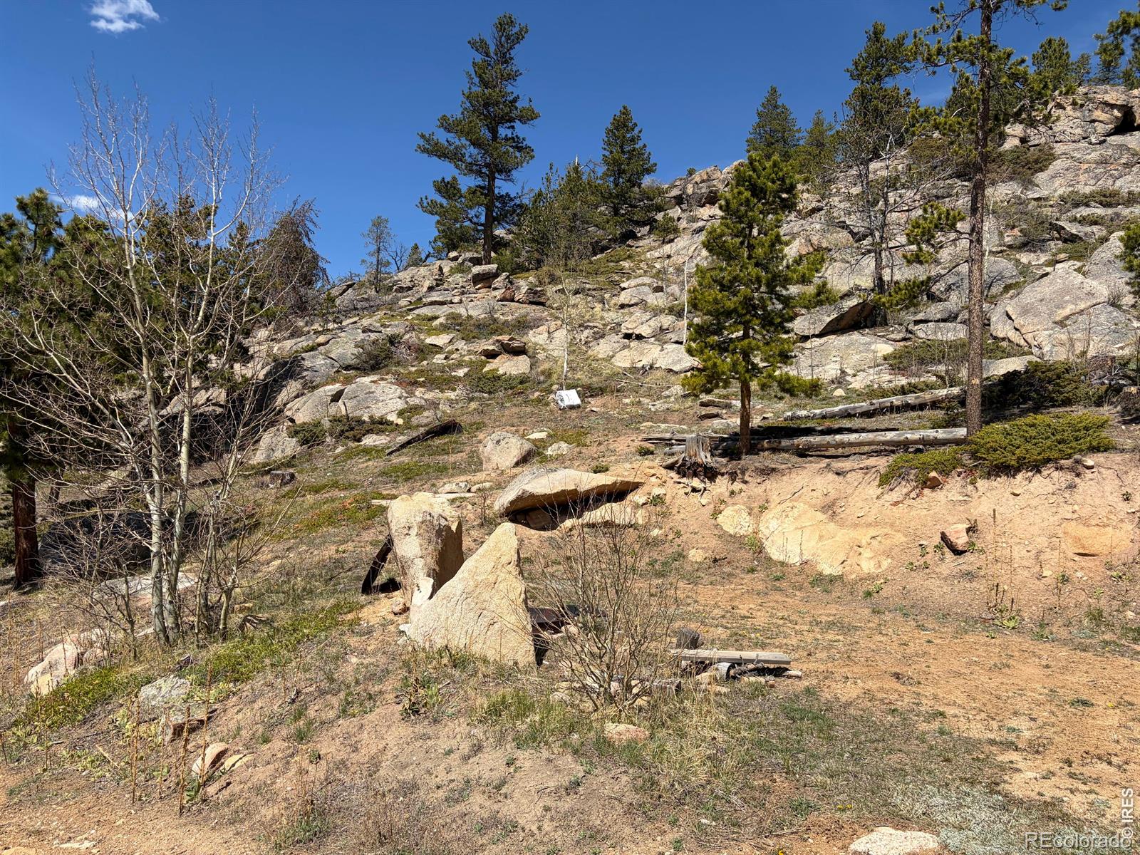726 Micmac Drive Red Feather Lakes CO 80545