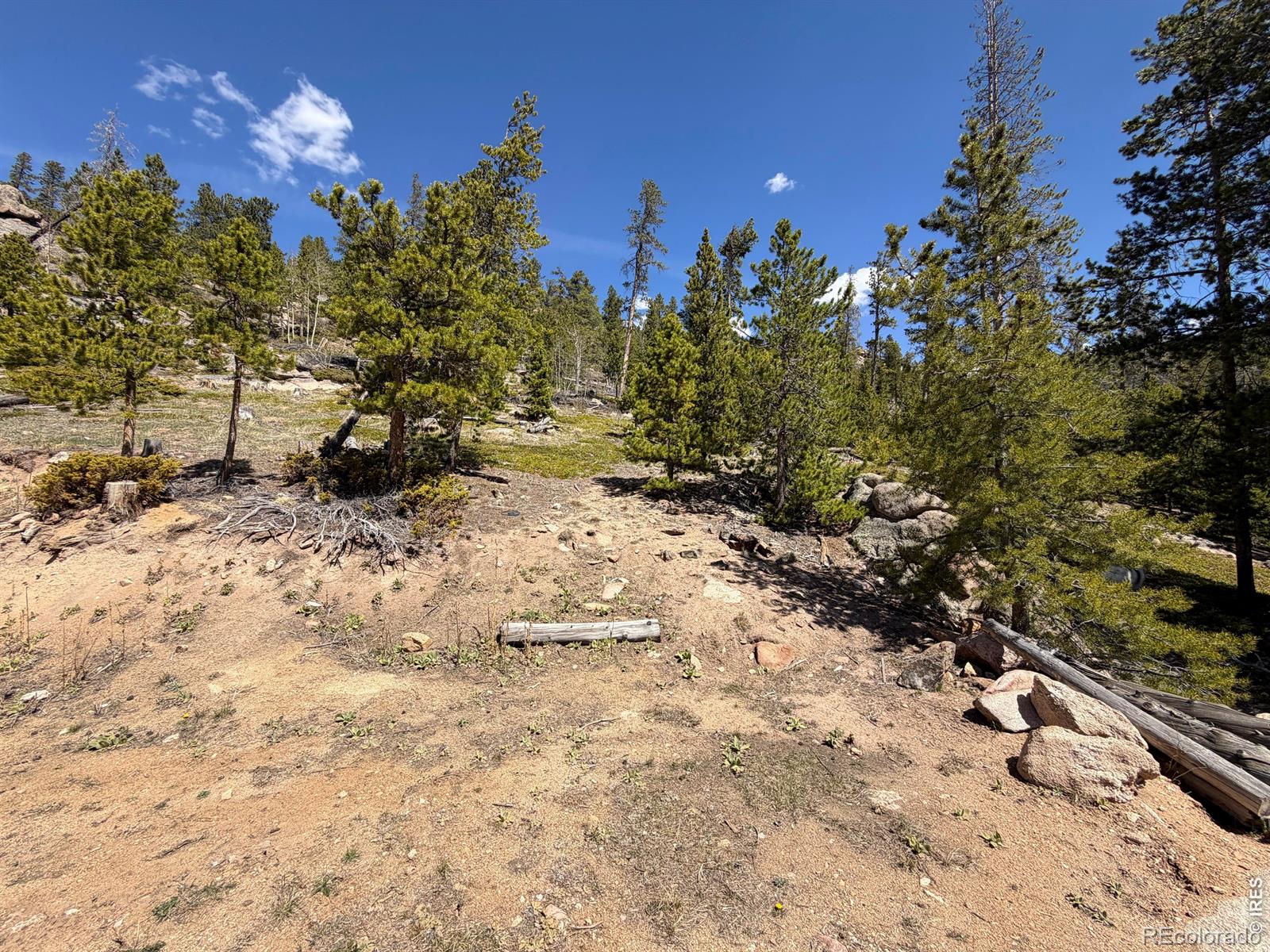 726 Micmac Drive Red Feather Lakes CO 80545