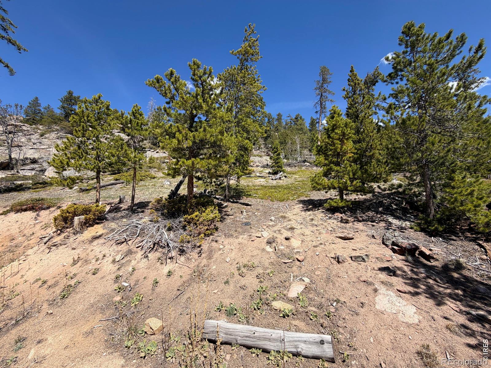 726 Micmac Drive Red Feather Lakes CO 80545