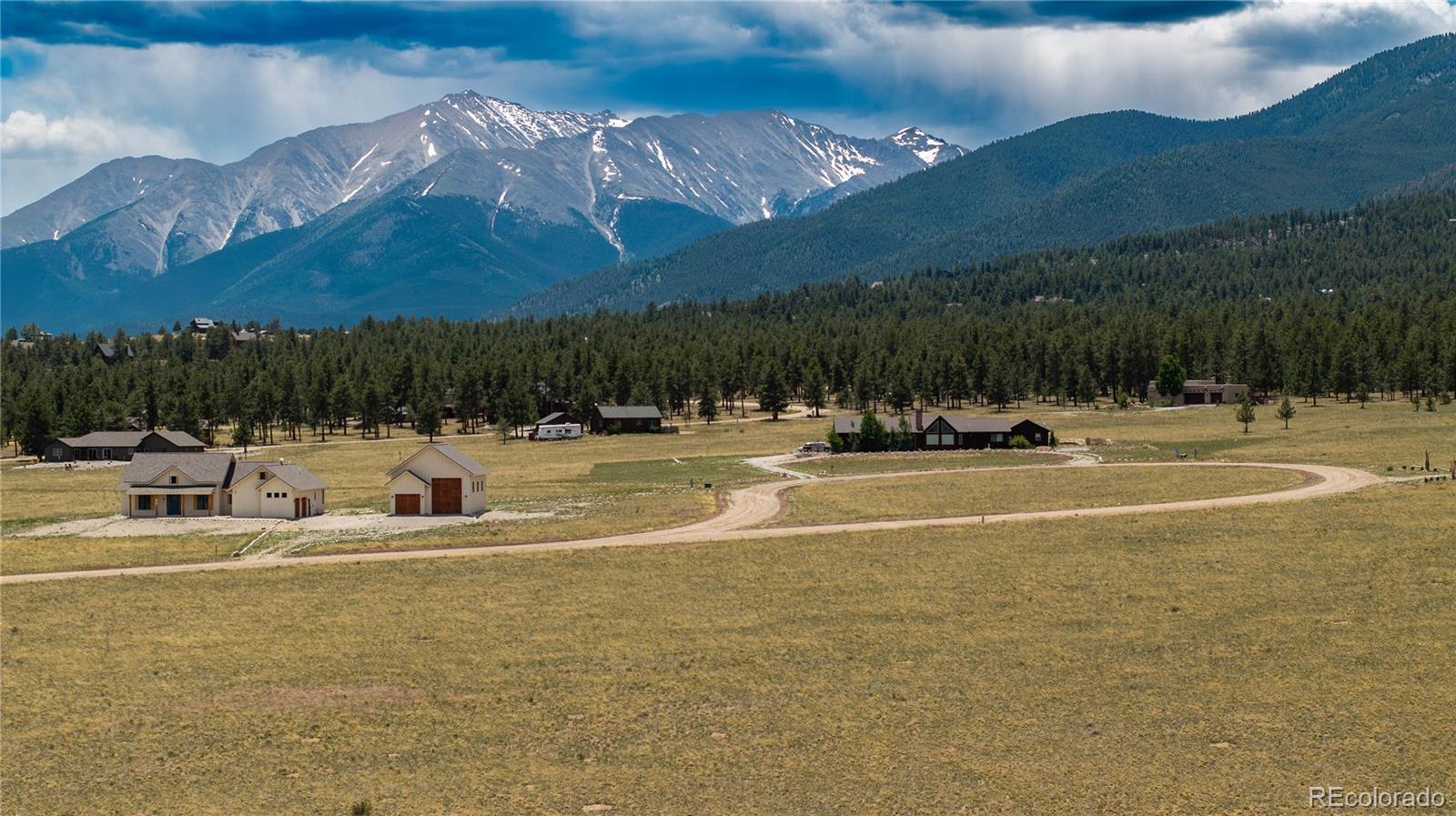 31308 N Meadow Way Buena Vista CO 81211