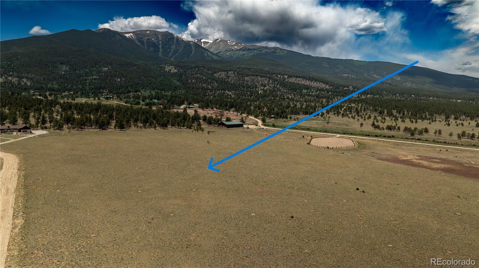 31308 N Meadow Way Buena Vista CO 81211