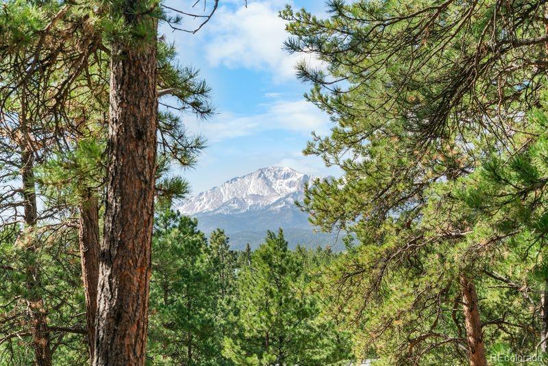 156 E Ridge Drive Woodland Park CO 80863