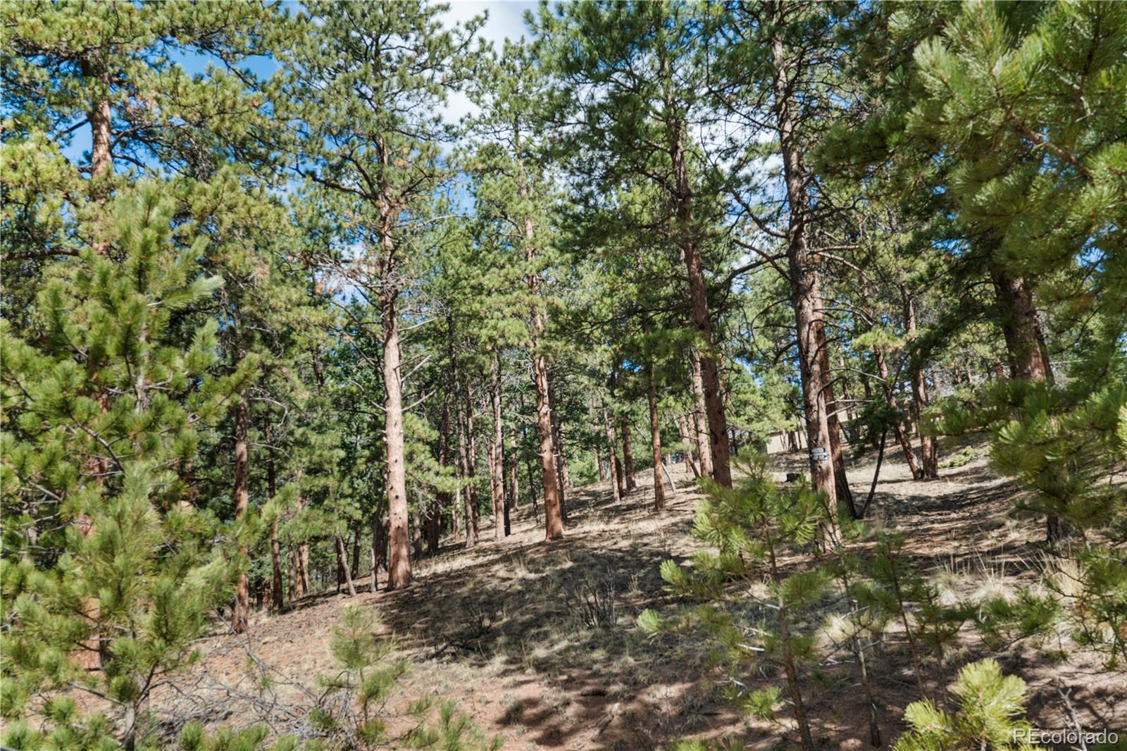 156 E Ridge Drive Woodland Park CO 80863