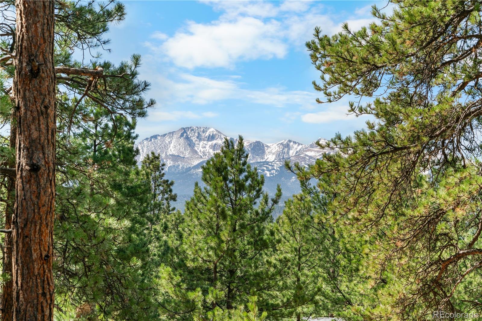 156 E Ridge Drive Woodland Park CO 80863