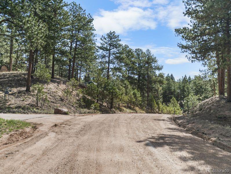 156 E Ridge Drive Woodland Park CO 80863