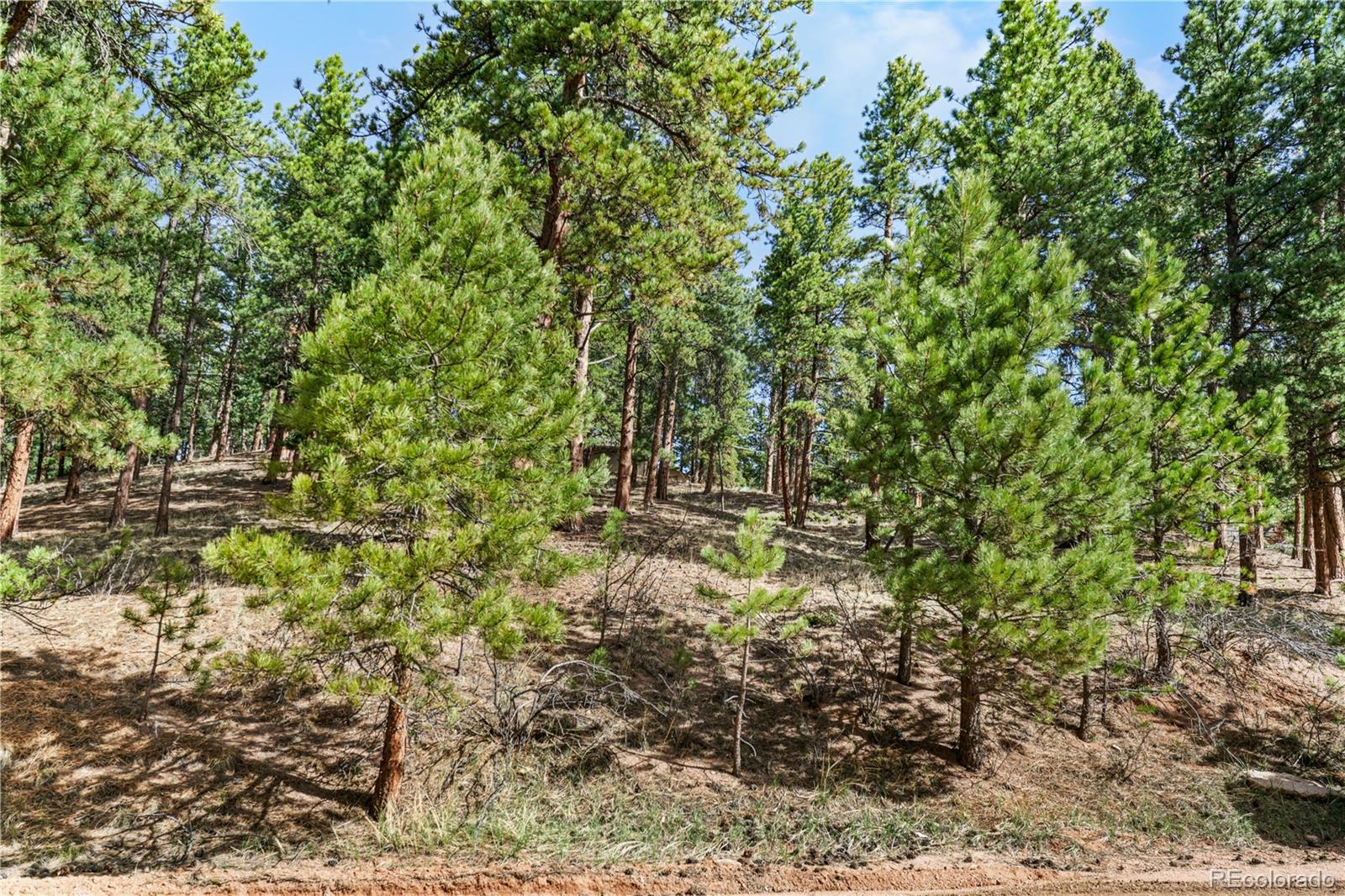 156 E Ridge Drive Woodland Park CO 80863