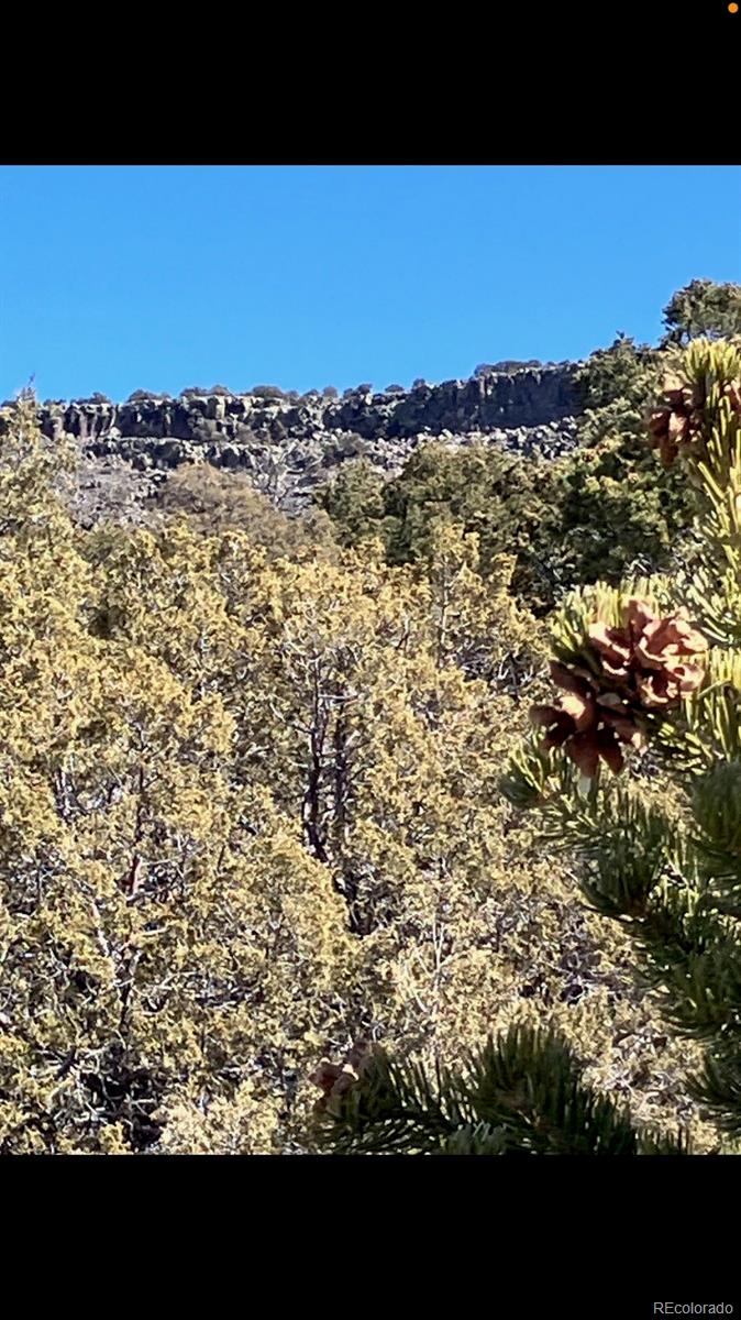 Lot 73 Old Stage Coach Road San Luis CO 81152