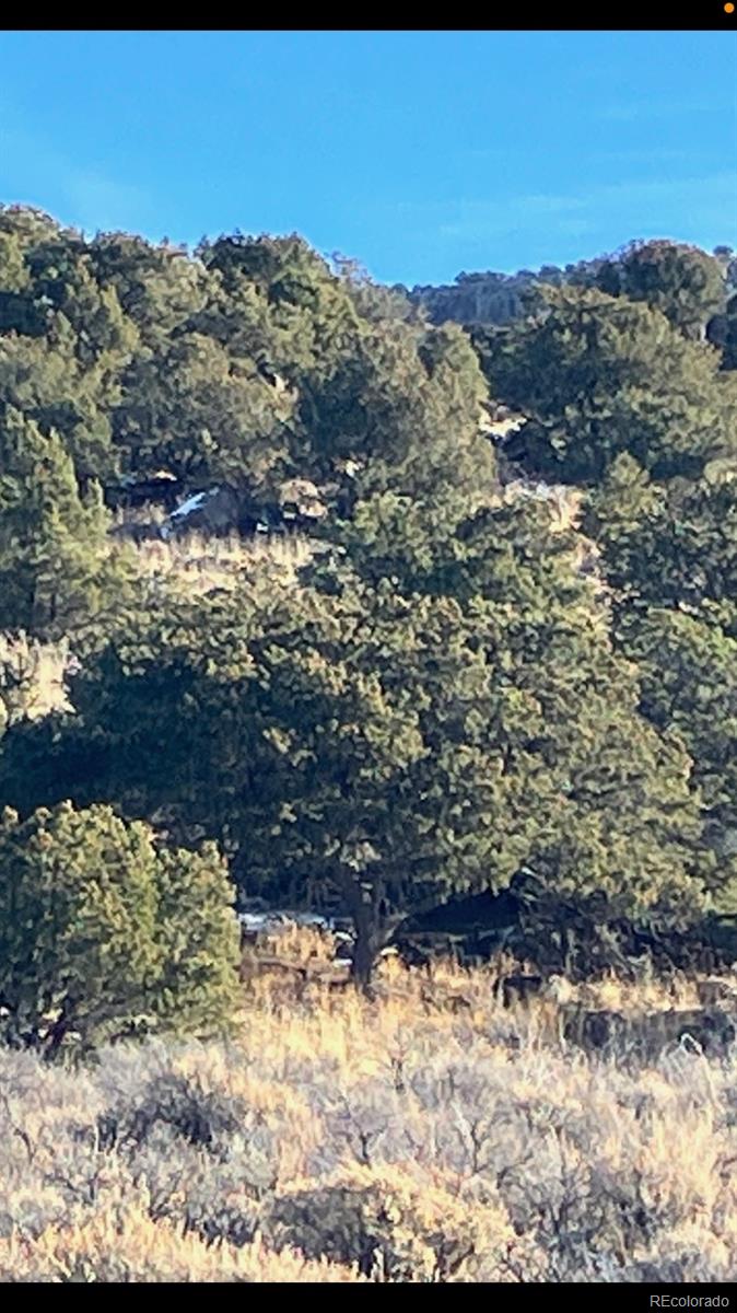 Lot 73 Old Stage Coach Road San Luis CO 81152