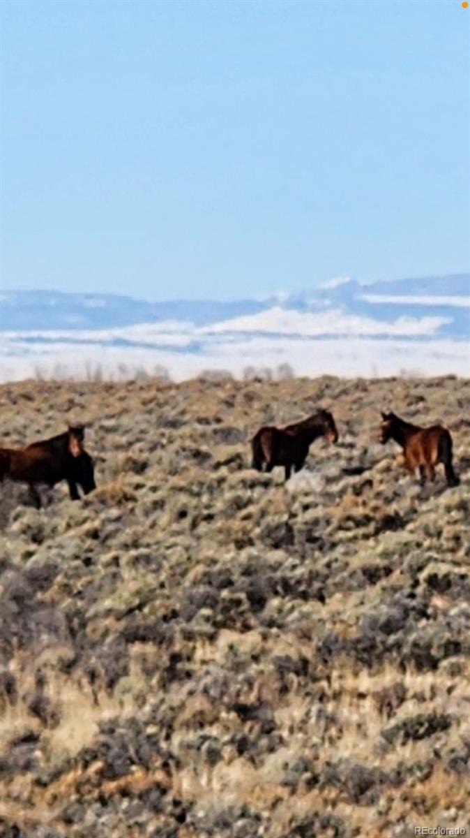 Lot 73 Old Stage Coach Road San Luis CO 81152
