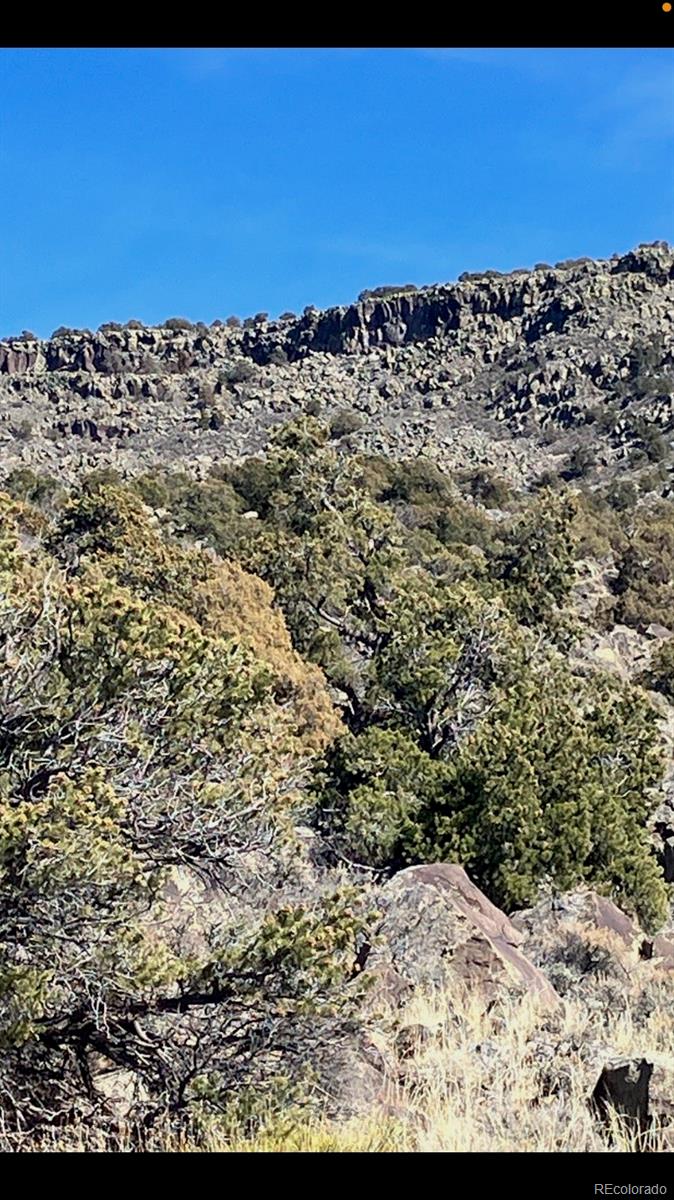 Lot 73 Old Stage Coach Road San Luis CO 81152