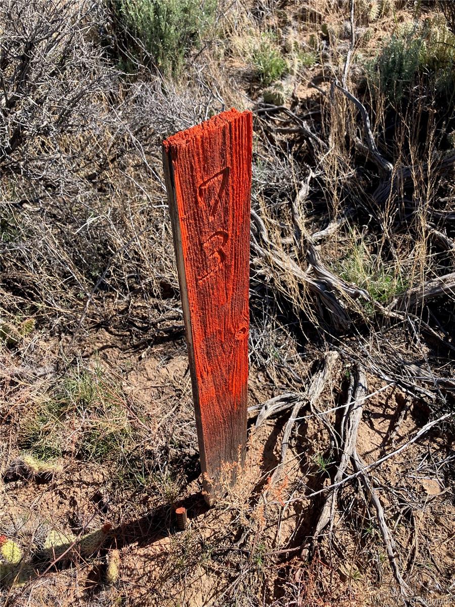 Lot 73 Old Stage Coach Road San Luis CO 81152