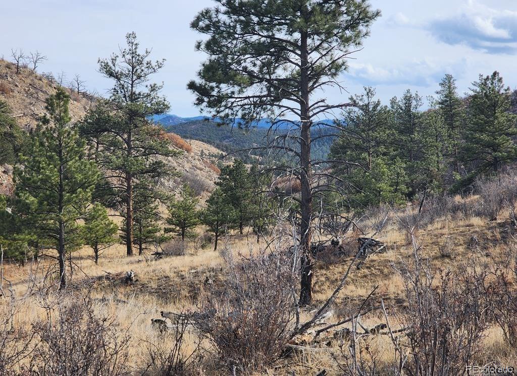 961 Shannon Trail Canon City CO 81212