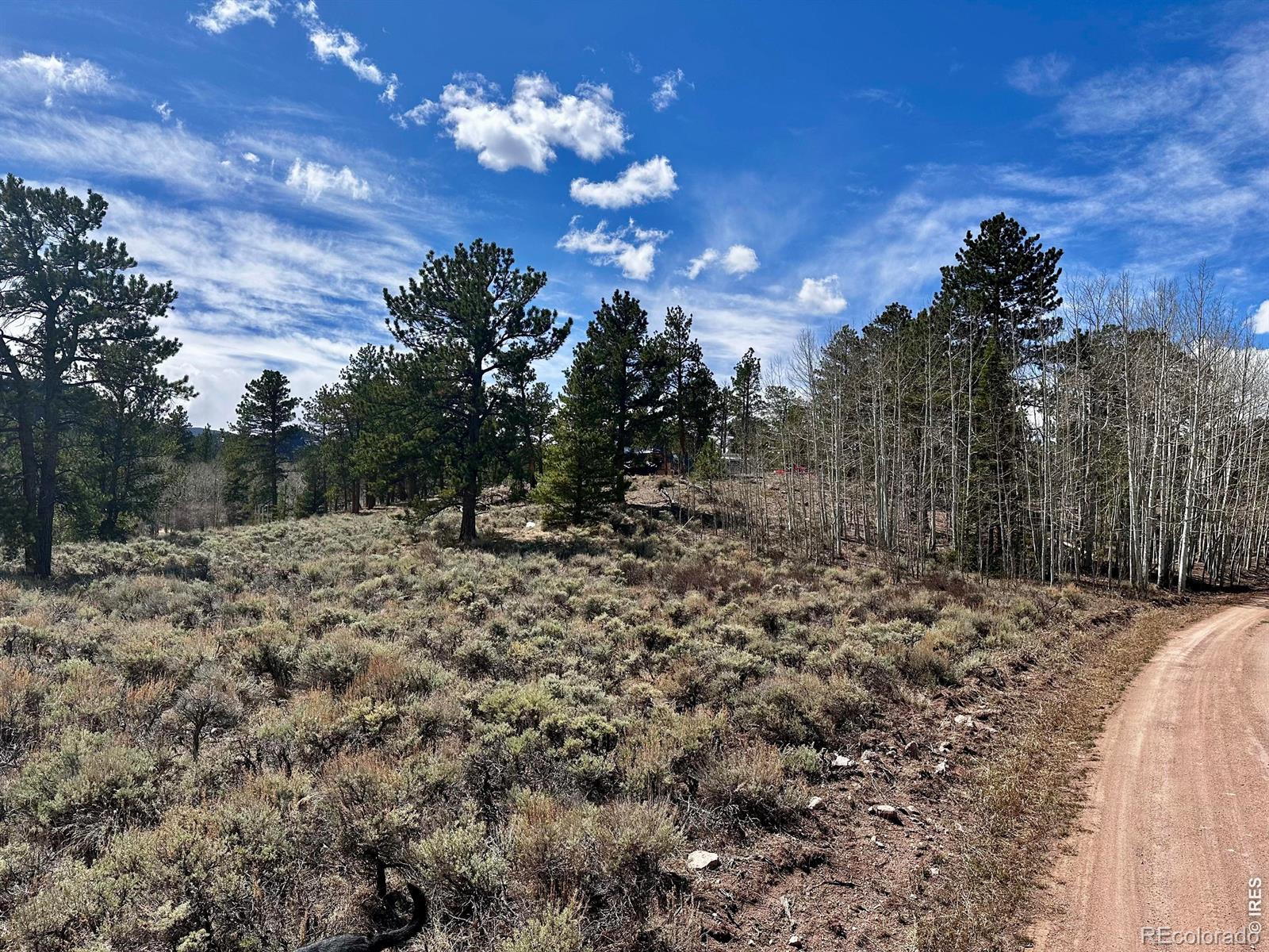 43 Chetco Court Red Feather Lakes CO 80545