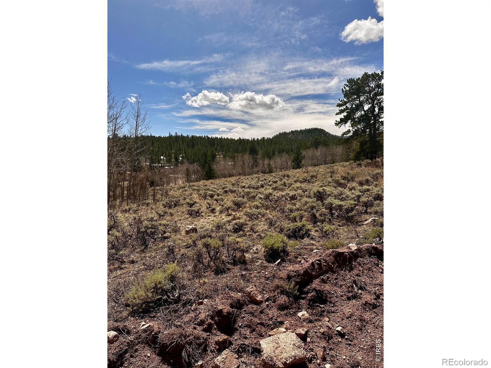 43 Chetco Court Red Feather Lakes CO 80545