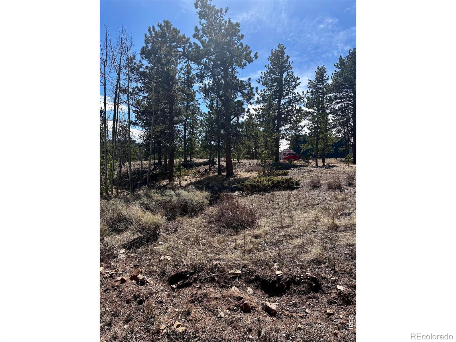 43 Chetco Court Red Feather Lakes CO 80545