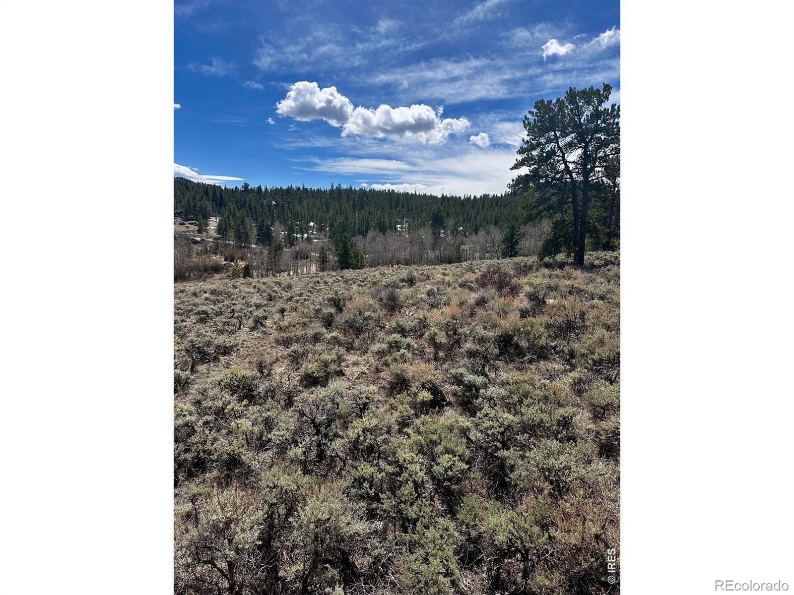 43 Chetco Court Red Feather Lakes CO 80545