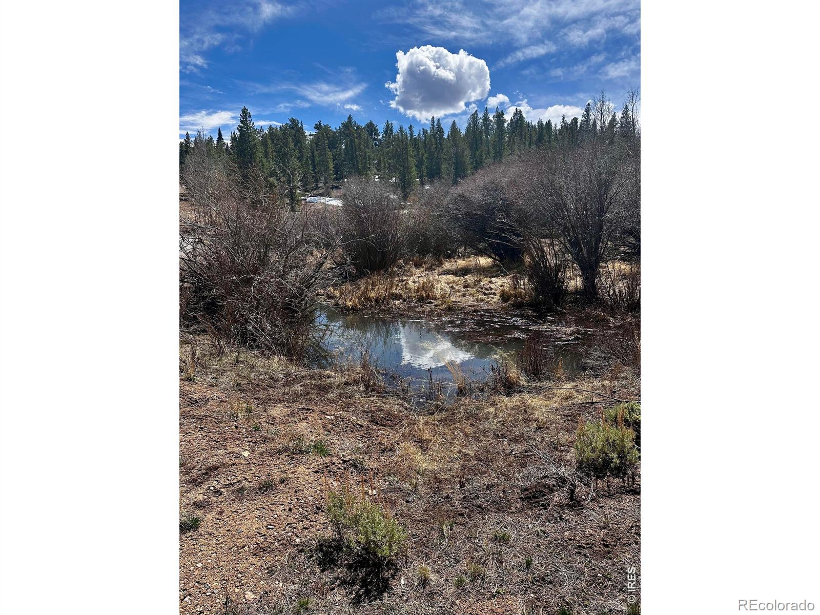 43 Chetco Court Red Feather Lakes CO 80545