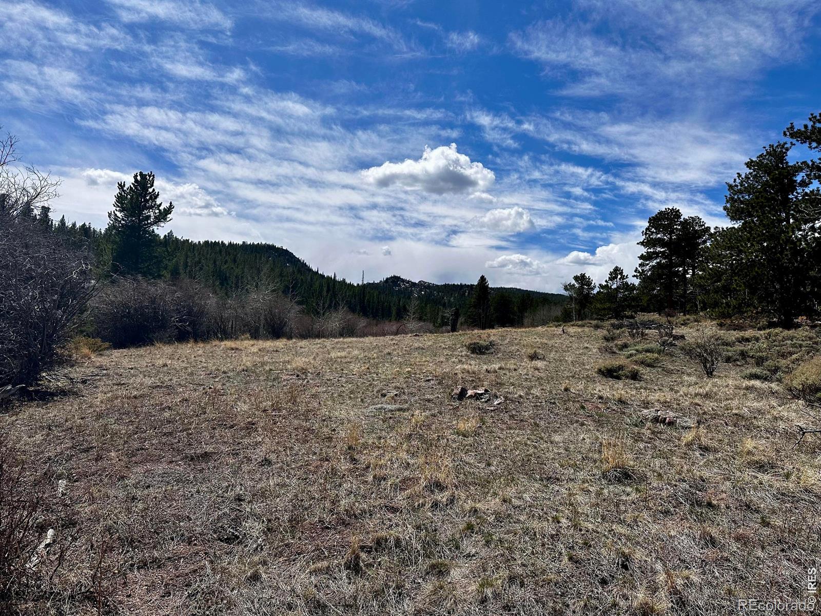 43 Chetco Court Red Feather Lakes CO 80545