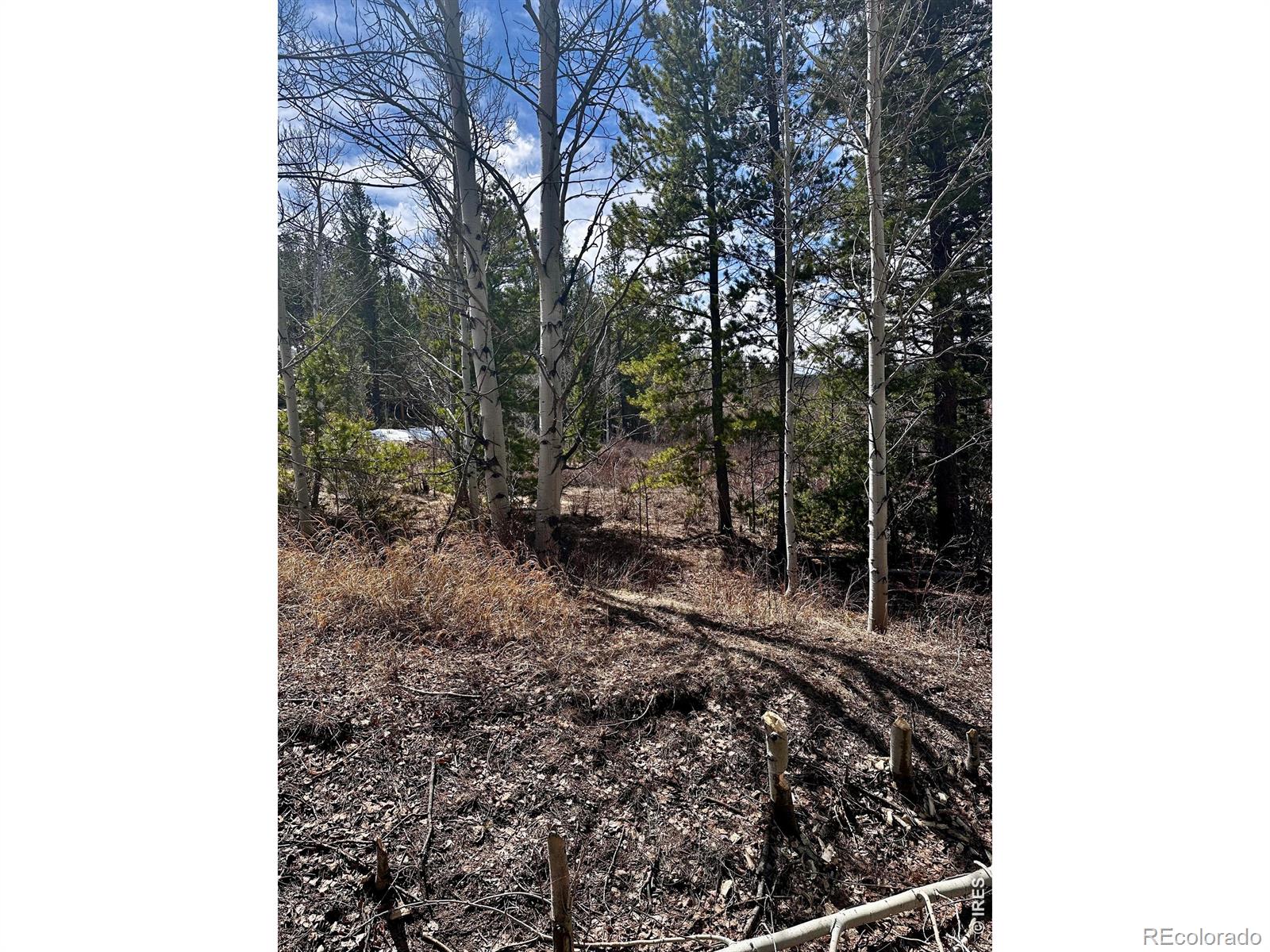 43 Chetco Court Red Feather Lakes CO 80545