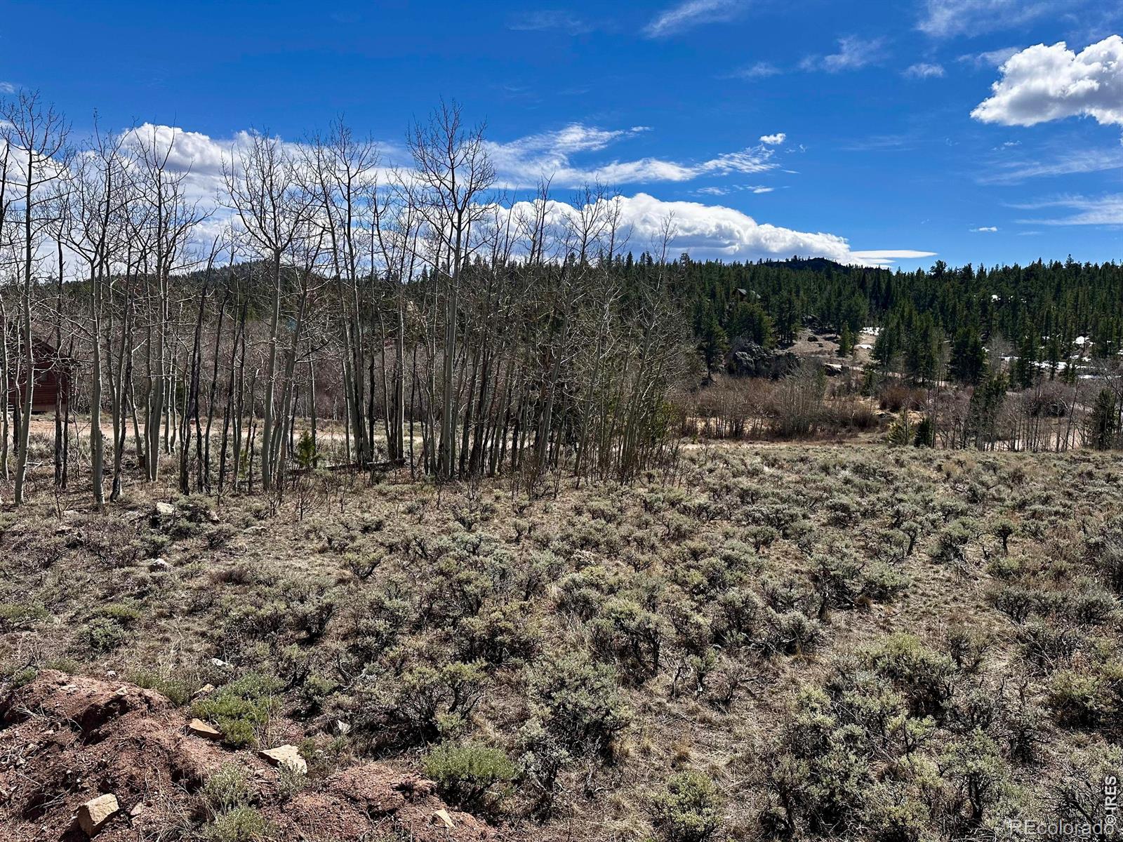 43 Chetco Court Red Feather Lakes CO 80545